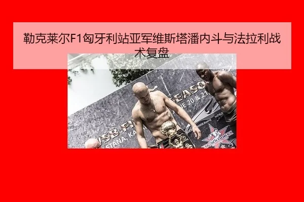 lei-ke-lai-er-xiong-ya-li-zhan-ya-jun-wei-si-ta-pan-nei-dou-yu-fa-la-li-zhan-shu-fu-pan-2-477.jpg