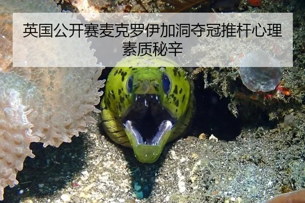 英国公开赛麦克罗伊加洞夺冠推杆心理素质秘辛